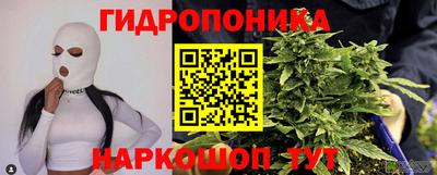 сатива Лесосибирск