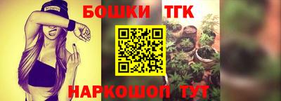 сатива Лесосибирск
