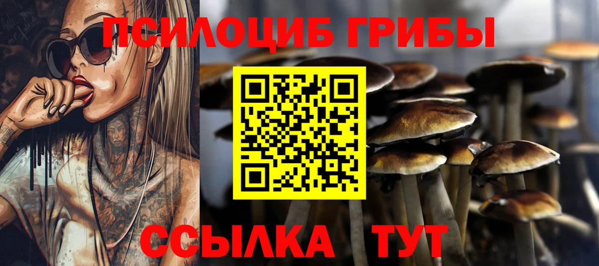 Псилоцибиновые грибы Cubensis  Галлюциногенные грибы Psilocybine cubensis  Вход с VPN  Жигулёвск 