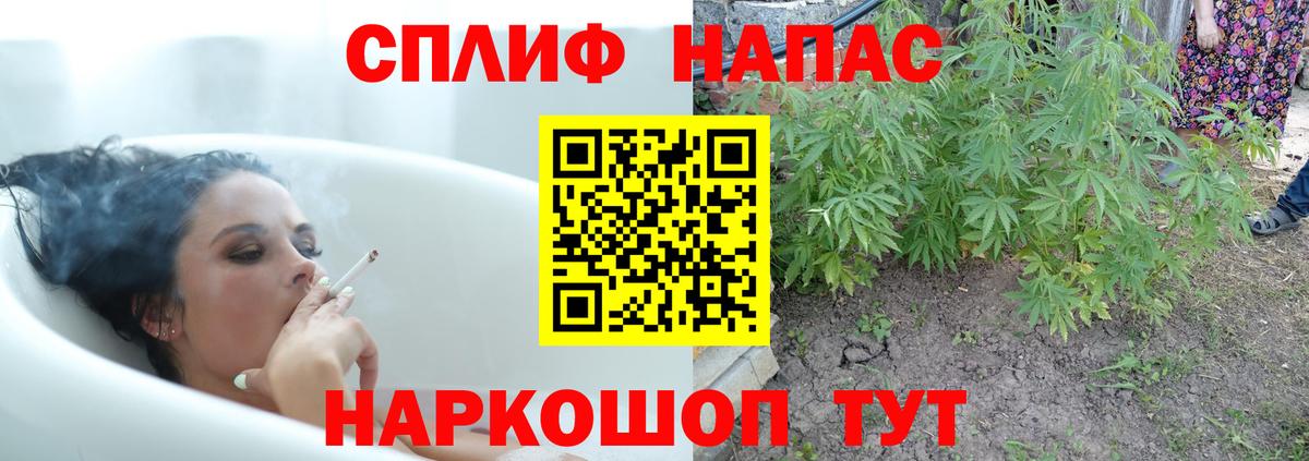 Бошки Шишки план Жигулёвск